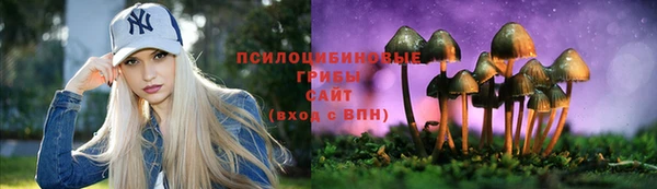 молекула духа Алзамай