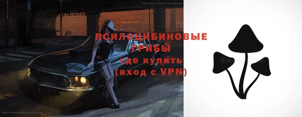 молекула духа Алзамай