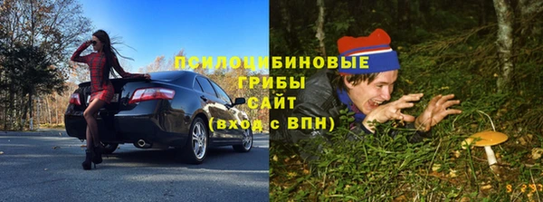 спиды Алексин