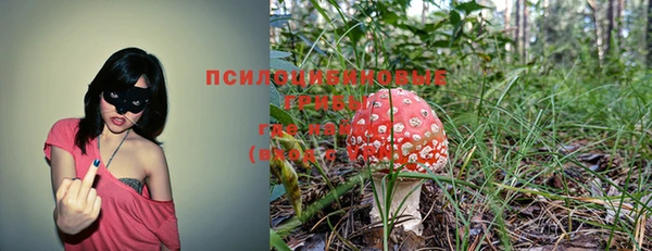 молекула духа Алзамай