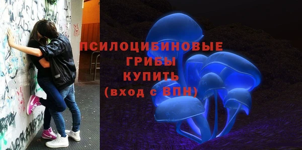 круглые Абаза