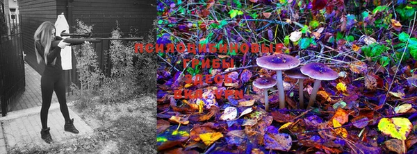 MDMA Premium VHQ Алексеевка